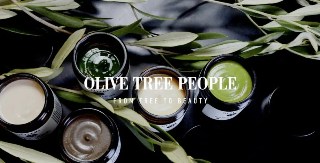 oliveda olive tree people